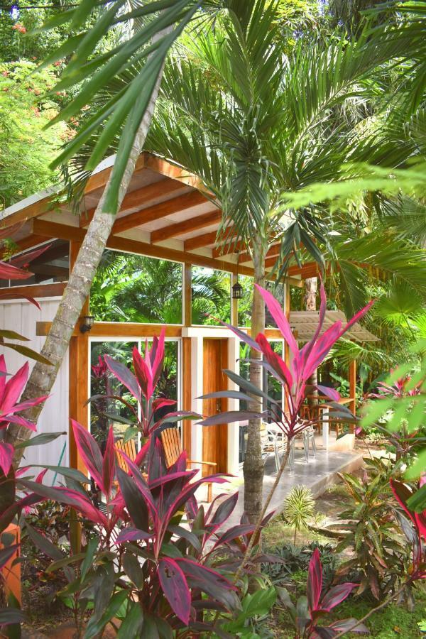 Fuego Lodge Playa Santa Teresa (Puntarenas) Exterior foto